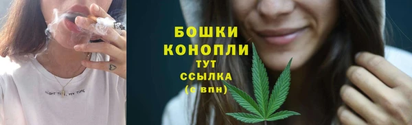 дмт Пестово