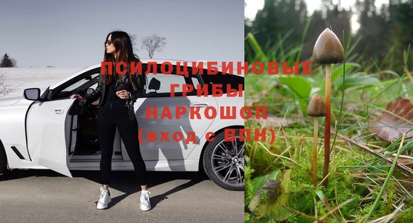 бошки Алексин